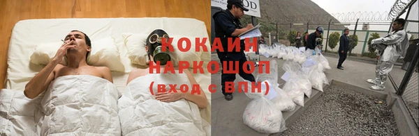 дмт Аркадак