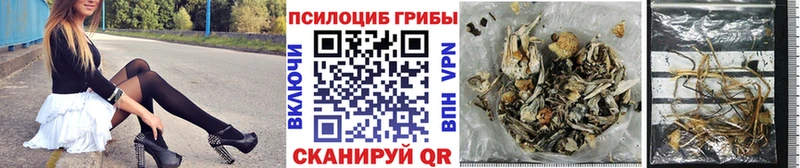 Галлюциногенные грибы Cubensis  Нарткала 