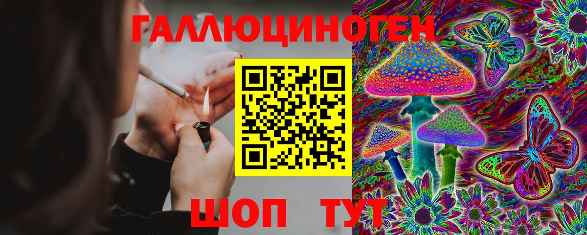 Нарткала  как найти закладки  Вход с VPN  Галлюциногенные грибы Magic Shrooms 