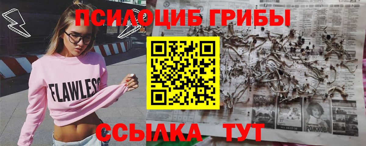 Галлюциногенные грибы Psilocybine cubensis Нарткала